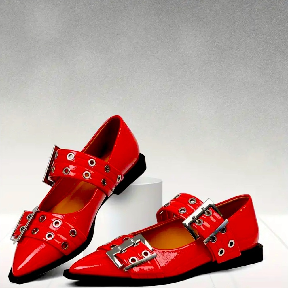 NWOT Pointed Toe, No Heel, Slip-on, Wide Buckle- Comfortable for Office, Casual